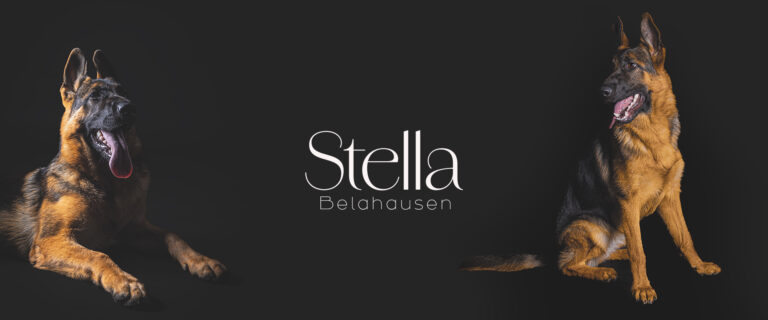 ClientesMax-Stella